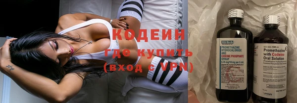 индика Новозыбков