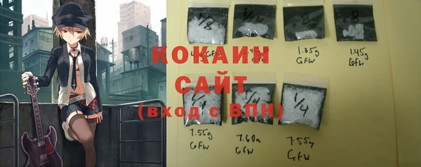 индика Новозыбков