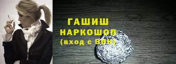 индика Новозыбков