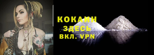 индика Новозыбков