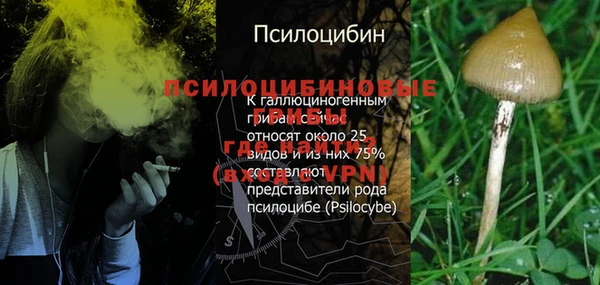 гашиш Анива