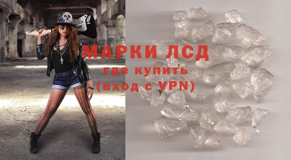 индика Новозыбков