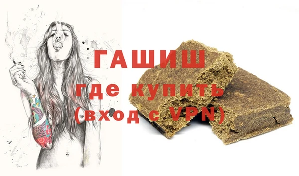 индика Новозыбков