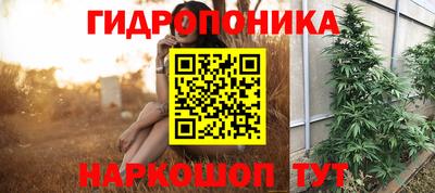 PSILOCYBIN Азнакаево
