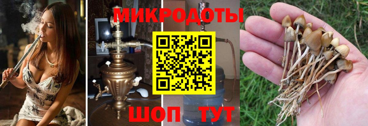 Чита  Галлюциногенные грибы мухоморы  Вход с VPN 